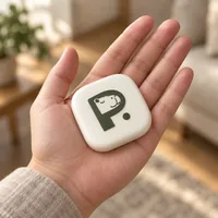 Pause Device in an open palm