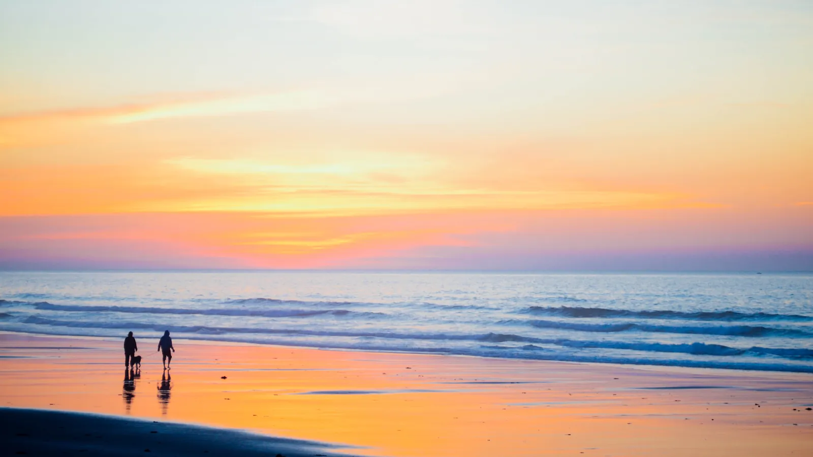 Two people walking a beach at golden hour.